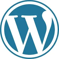 best-digital-marketer-in-abhudhabhi-showing-wordpress-tool